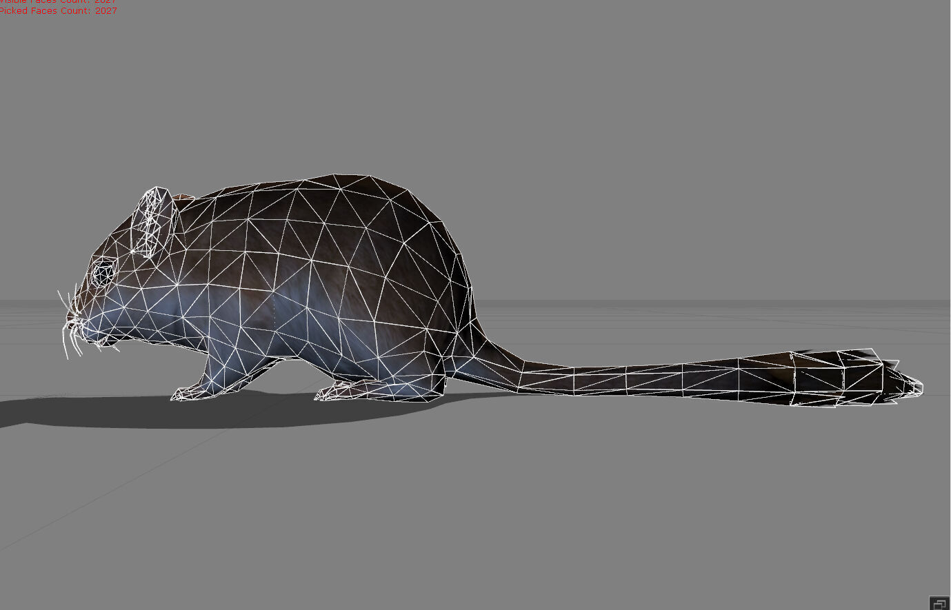 Sand Mouse Animal Low-poly 3D model_7
