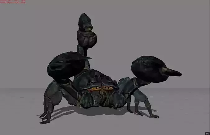 Realistic Scorpion Animal
