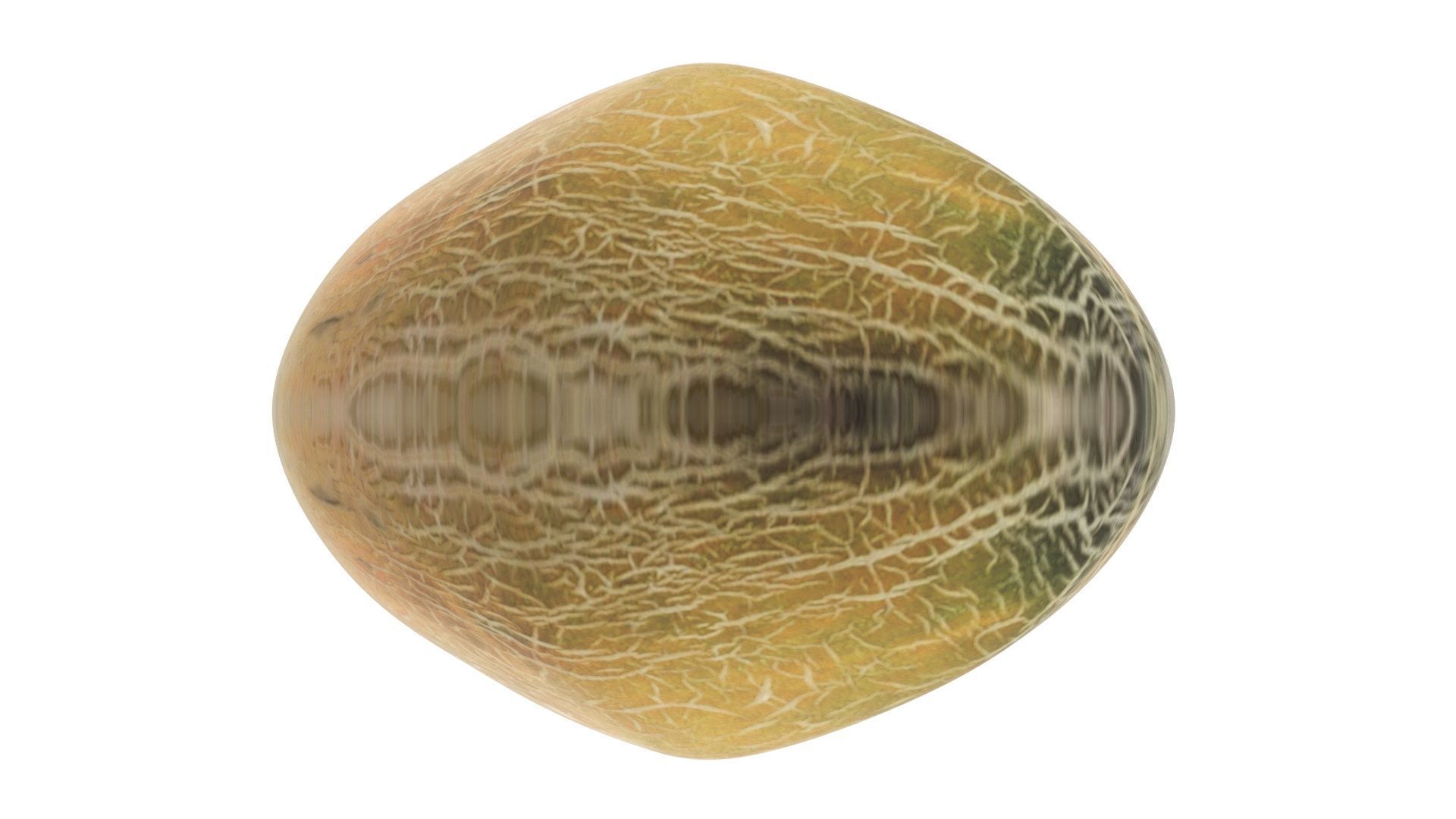 Ananas Melon 3D model_18