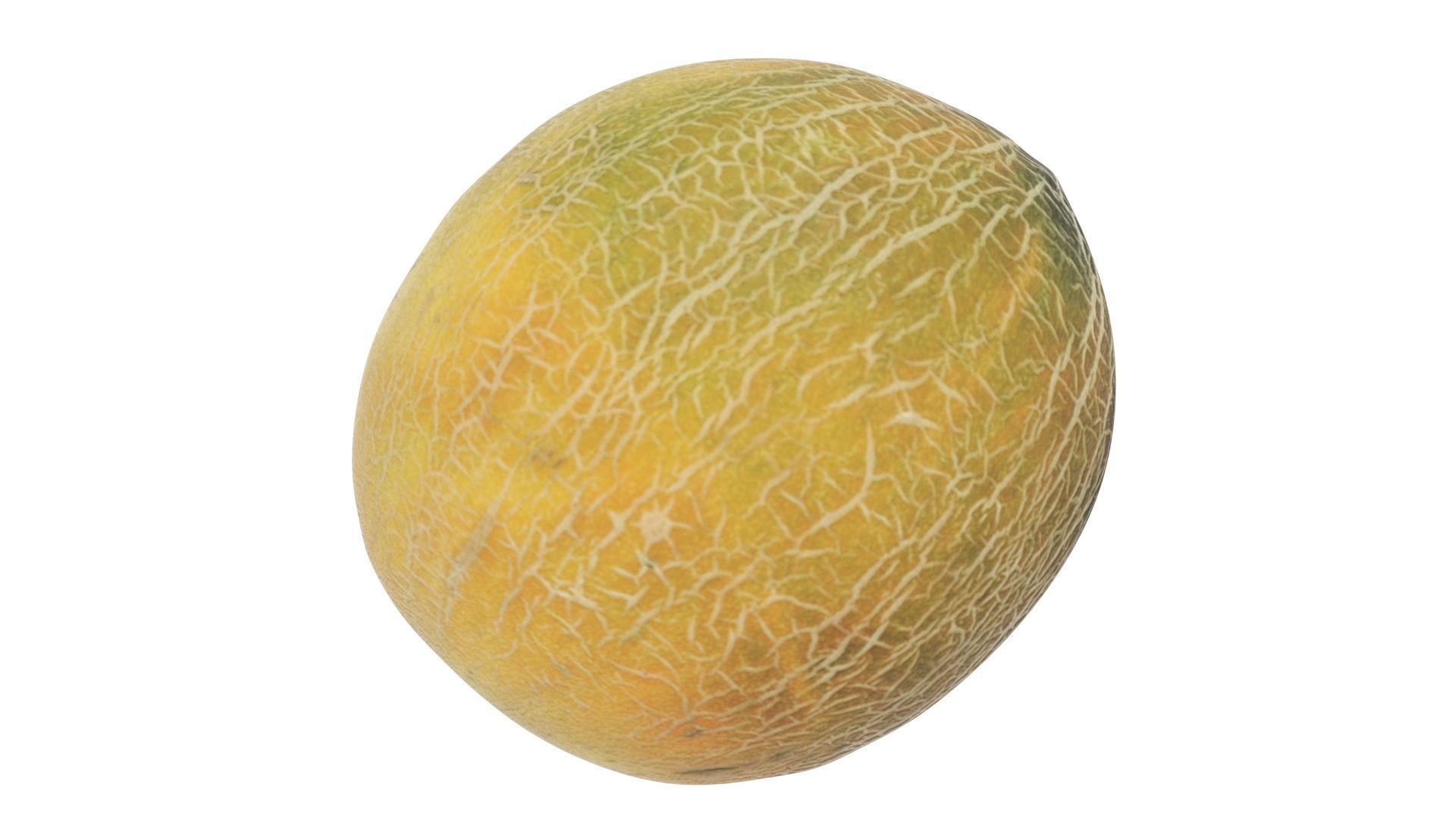 Ananas Melon 3D model_8