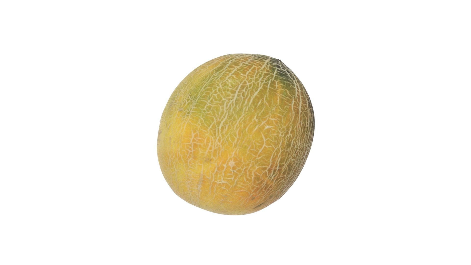 Ananas Melon 3D model_13
