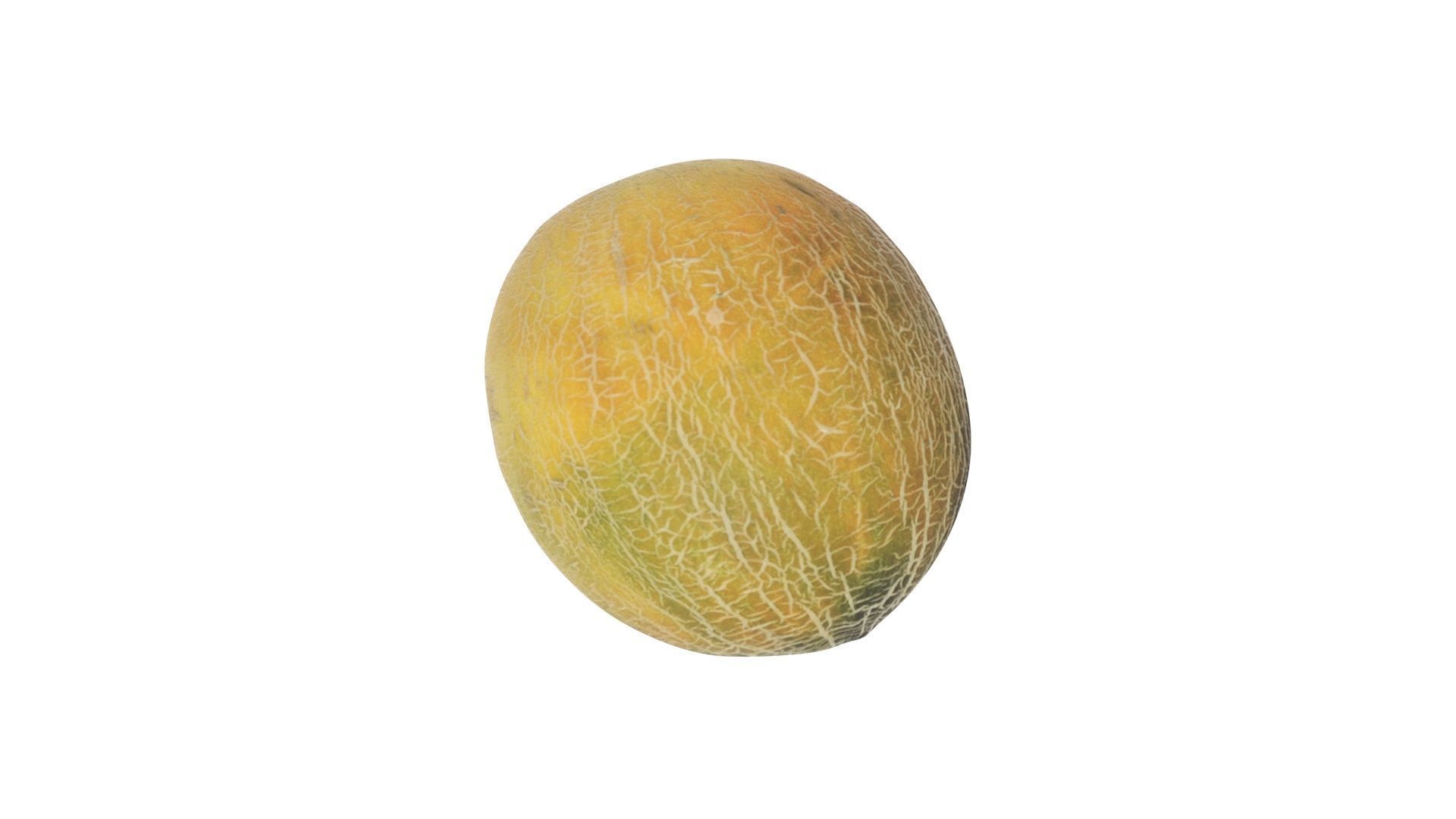 Ananas Melon 3D model_16