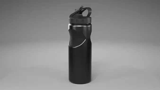 Metallic Water Bottle