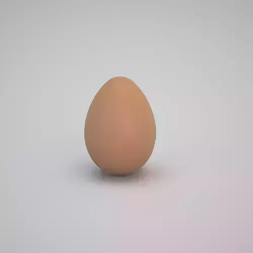 Brown Egg