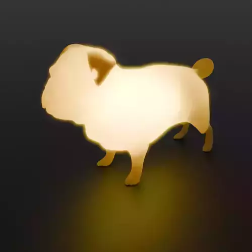 Indirect lighting for pug