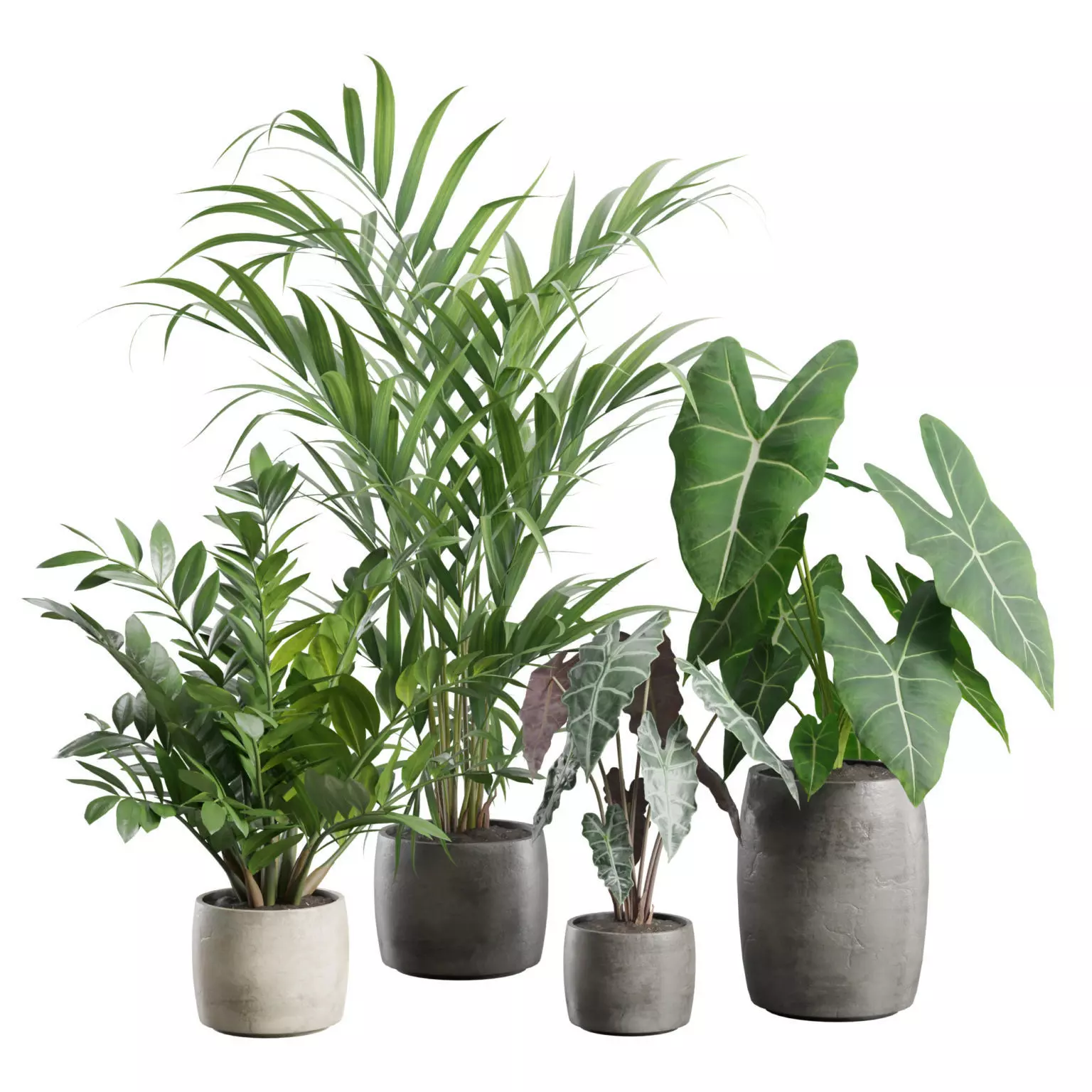 Indoor Plants Pack 96 3D model