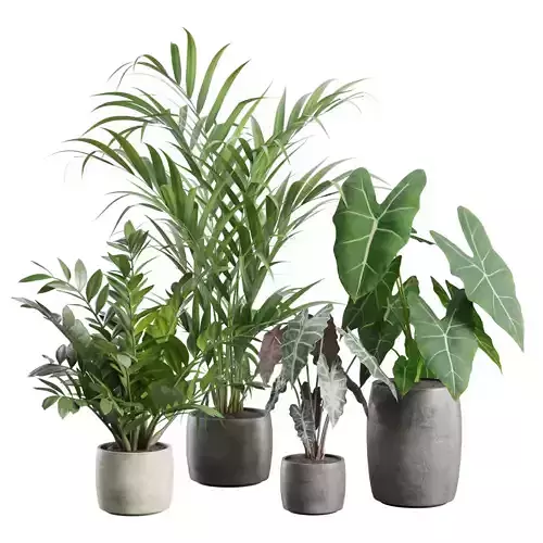 Indoor Plants Pack 96