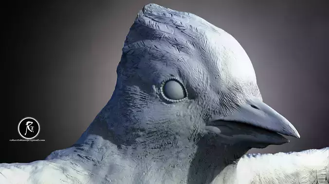 Blue Jay Songbird of the Forest Skies