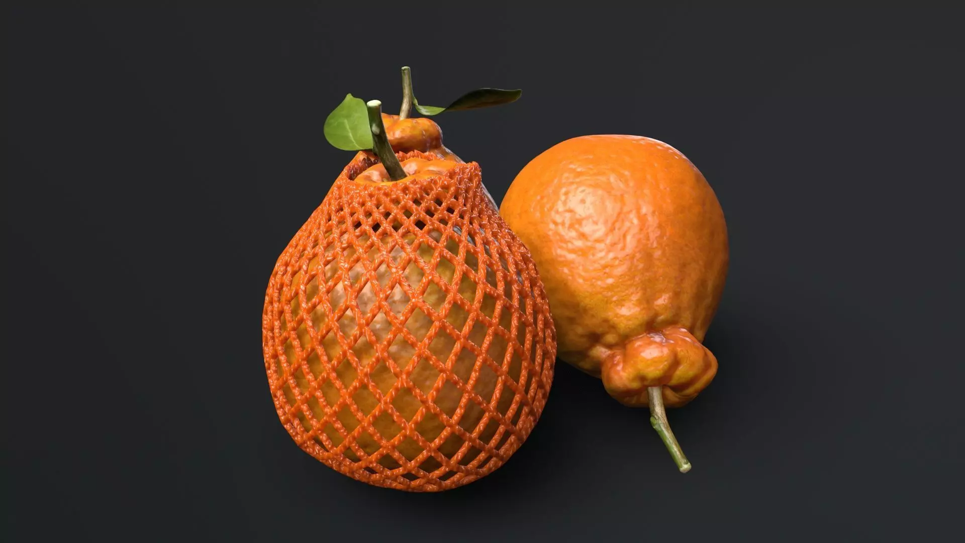 orange  Low-poly 3D model_0