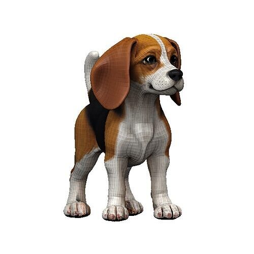 Beagle Low-poly 3D model