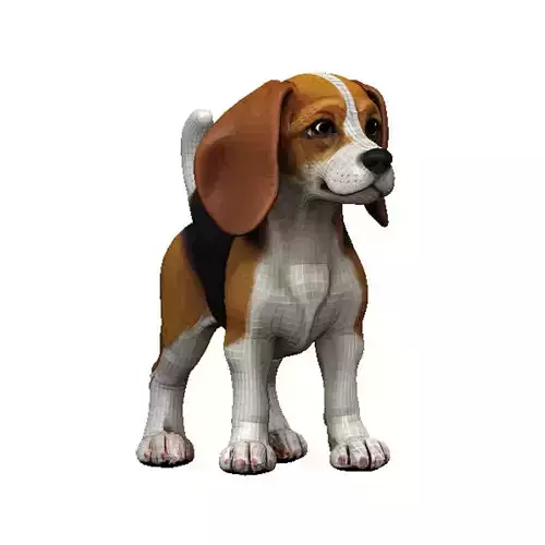 Beagle Low-poly 3D model