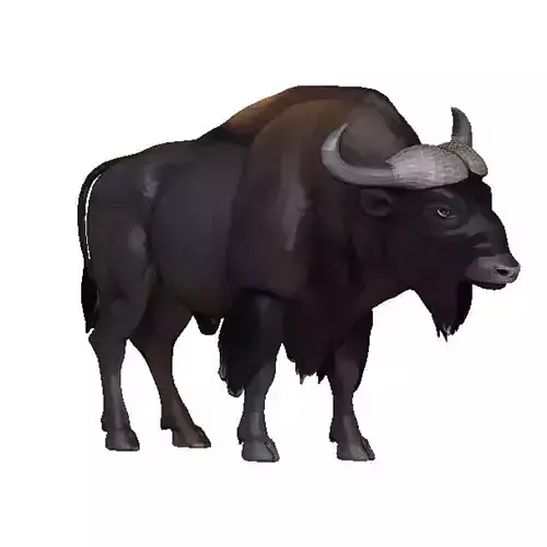Bison Low-poly 3D model