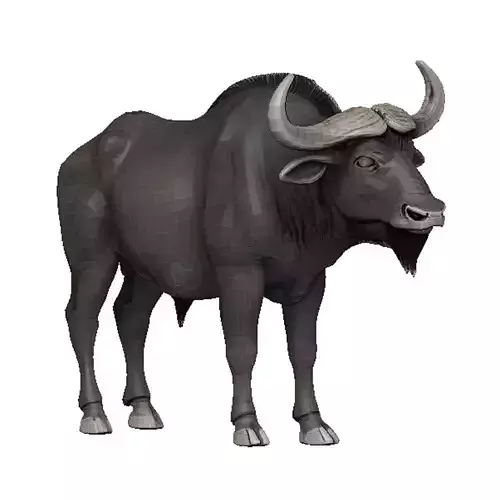 Buffalo Low-poly 3D model