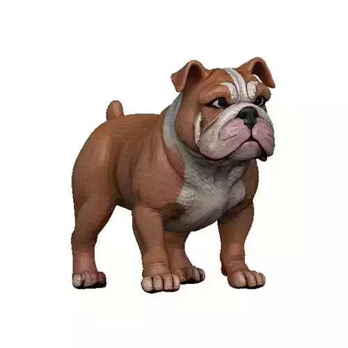 Bulldog Low-poly 3D model