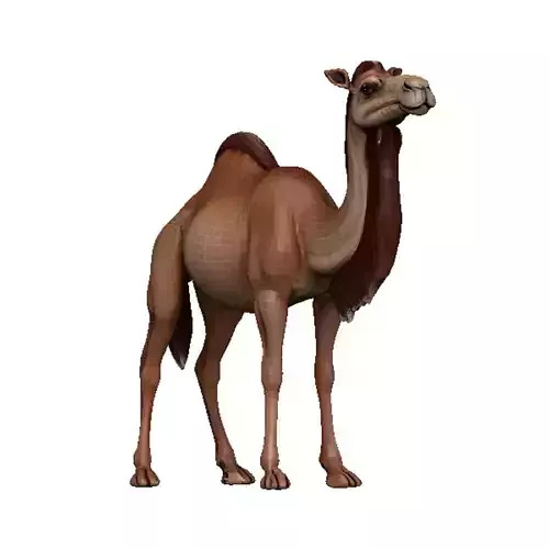 Camel Low-poly 3D model