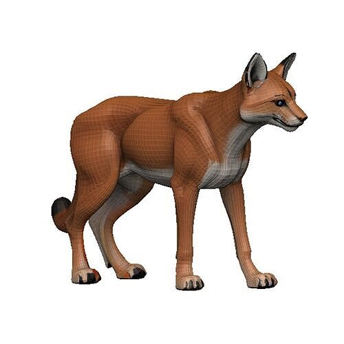 Caracal Low-poly 3D model