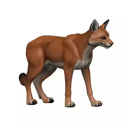 Caracal Low-poly 3D model