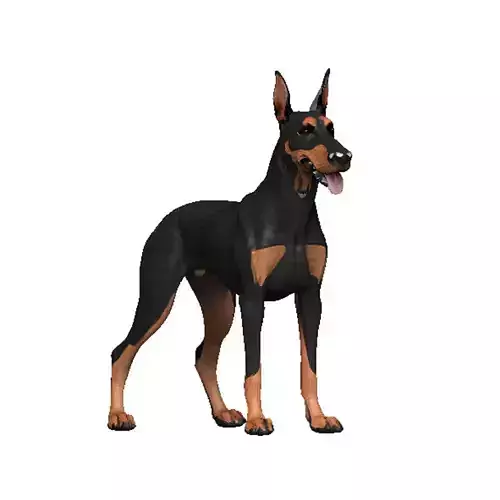 Doberman Low-poly 3D model