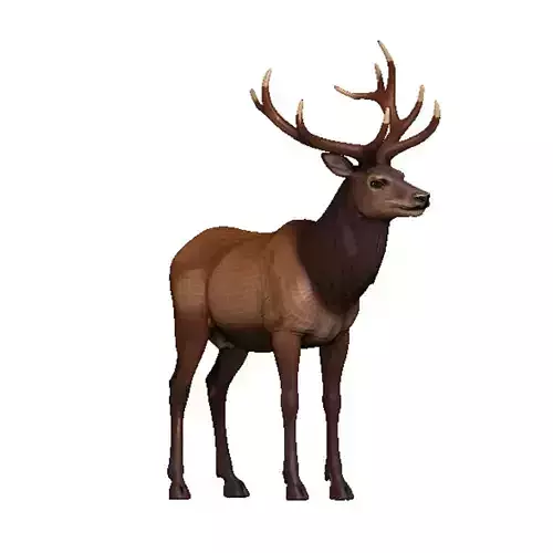Elk-Elk Low-poly 3D model