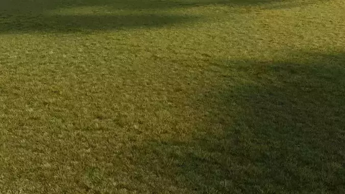 High-Detail 3D Grass Scatter Package