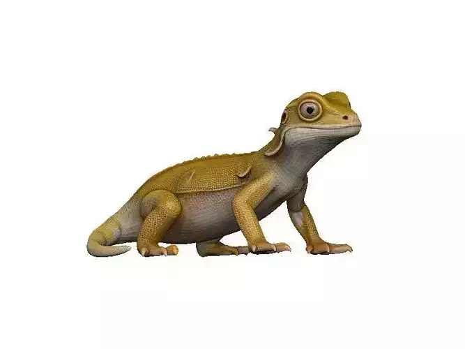 Gecko