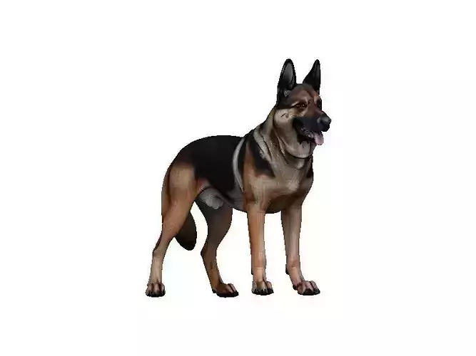 Germanshep