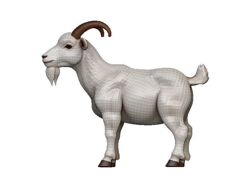 Goat-Goat Low-poly 3D model_3