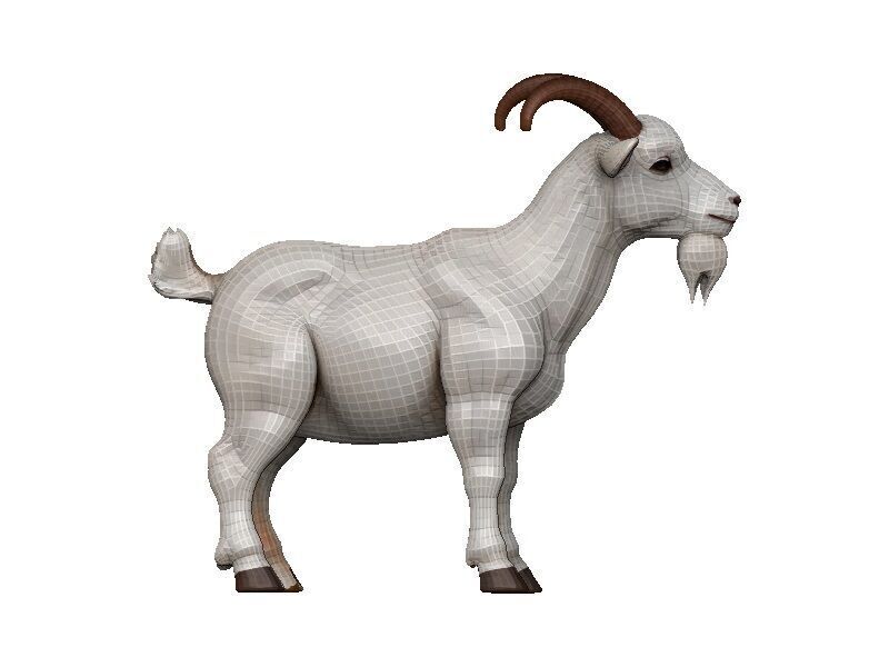 Goat-Goat Low-poly 3D model_6