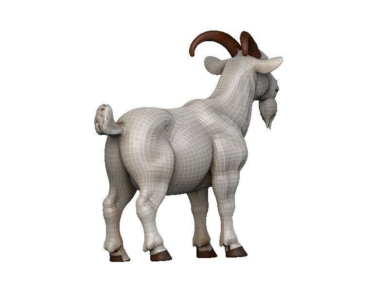 Goat-Goat Low-poly 3D model_5