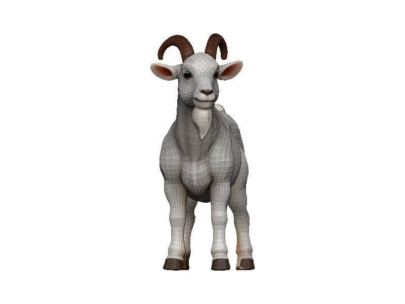 Goat-Goat Low-poly 3D model_1