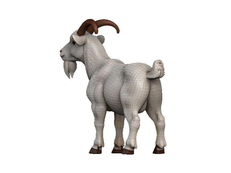 Goat-Goat Low-poly 3D model_4