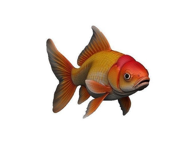 Goldfish Low-poly 3D model