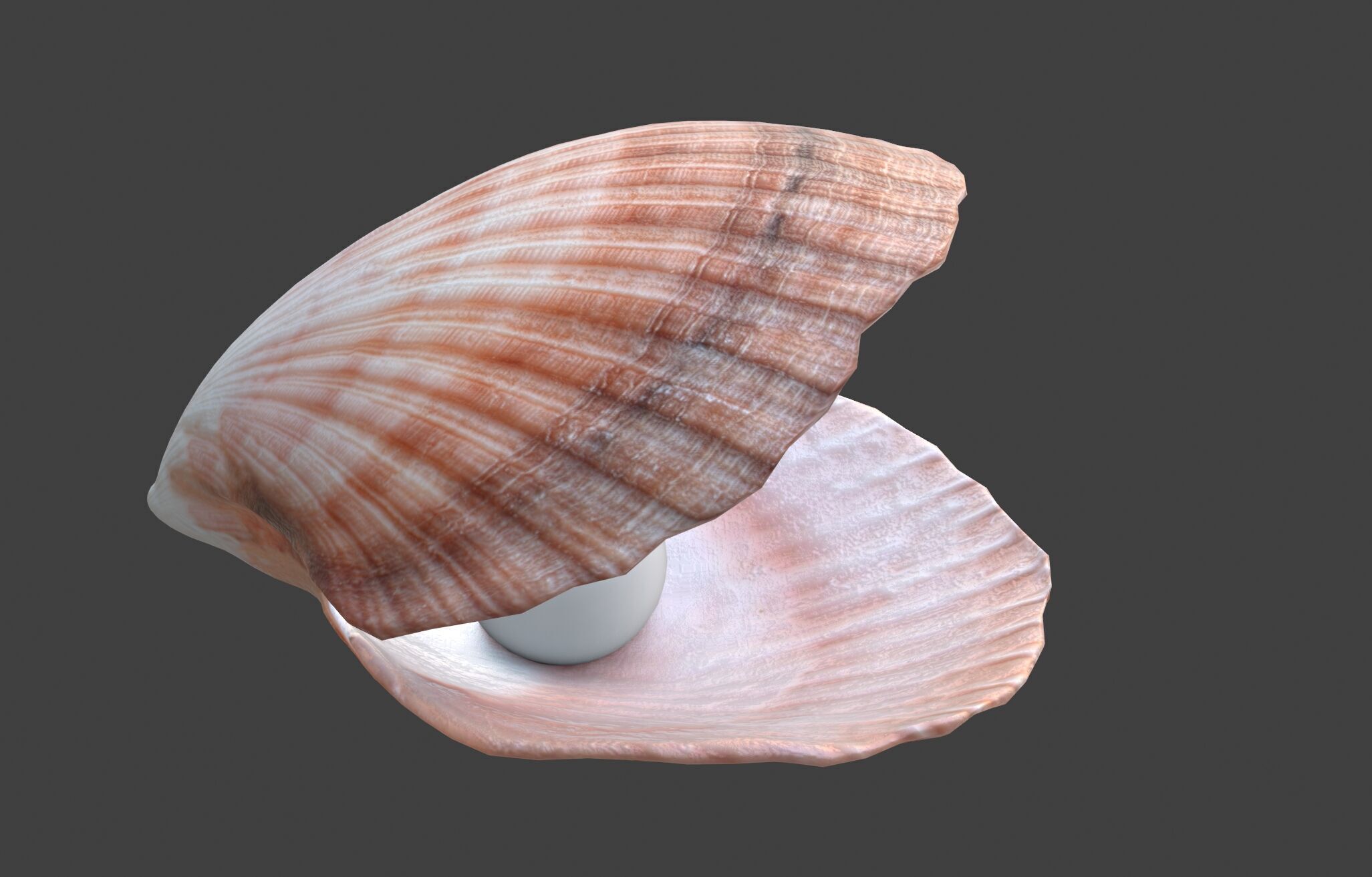 Conch shell pearl   Low-poly 3D model_7