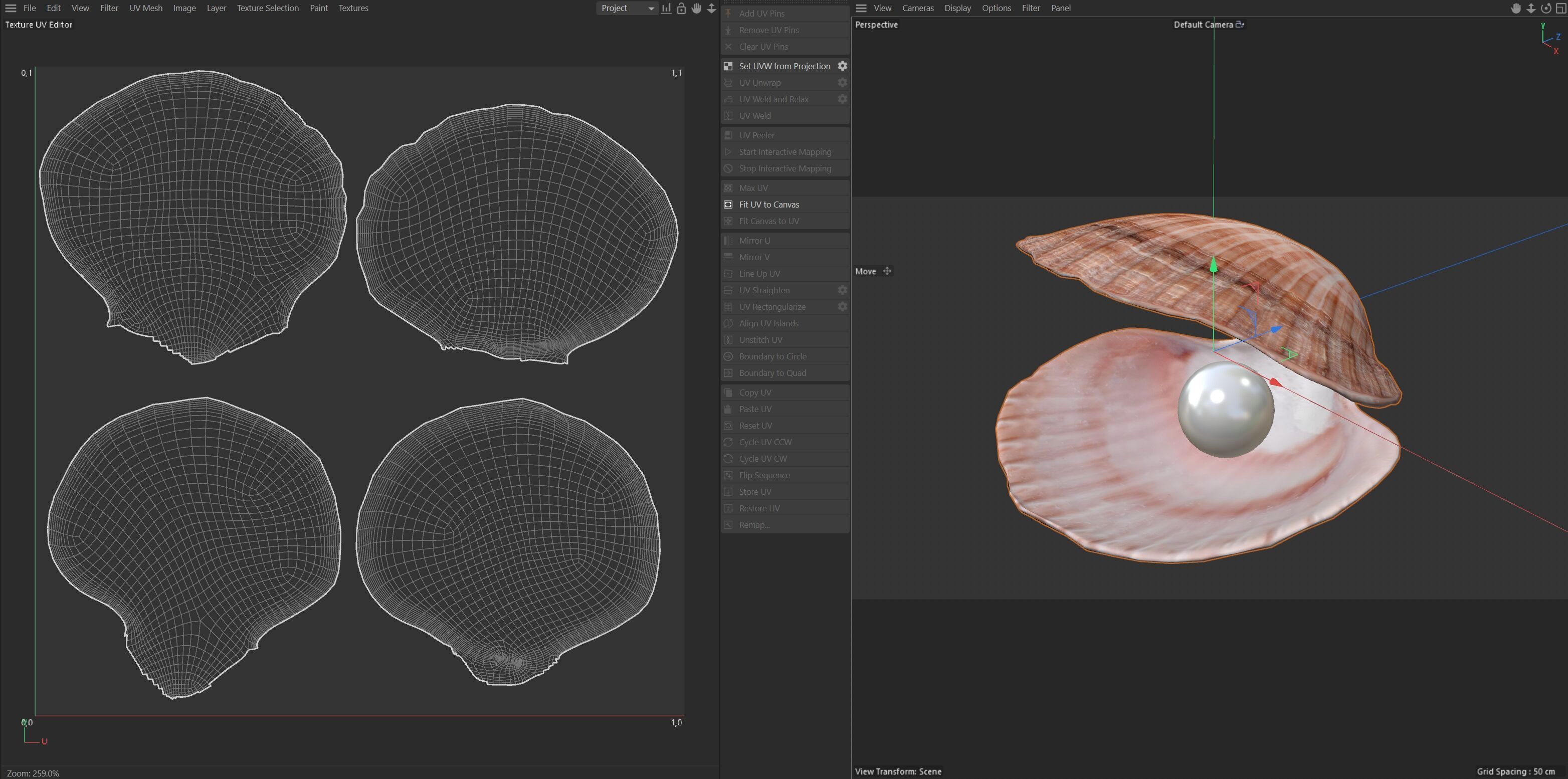 Conch shell pearl   Low-poly 3D model_8