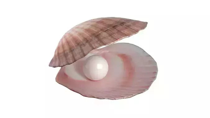 Conch shell pearl  