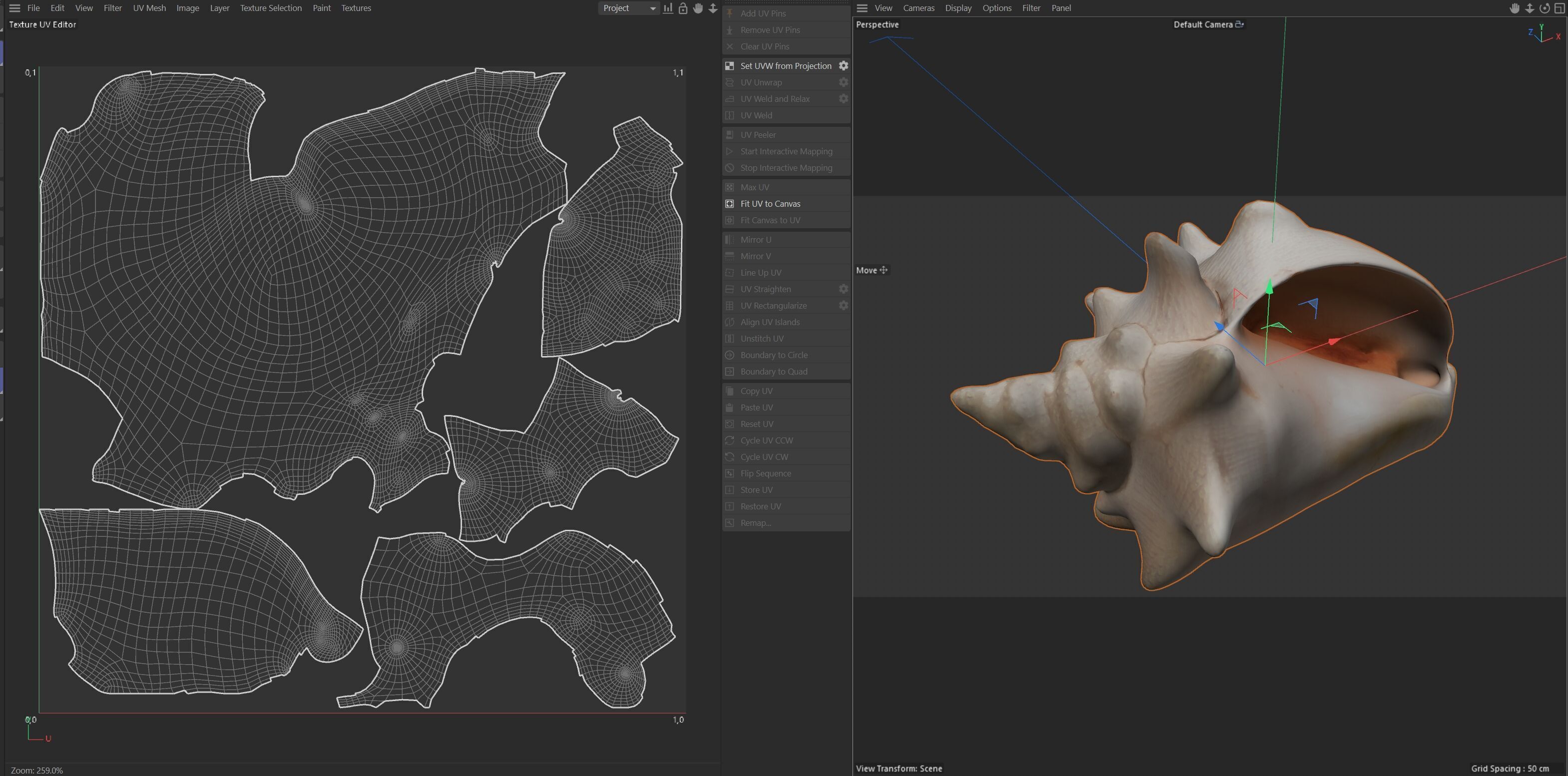 Conch shell v3 Low-poly 3D model_6
