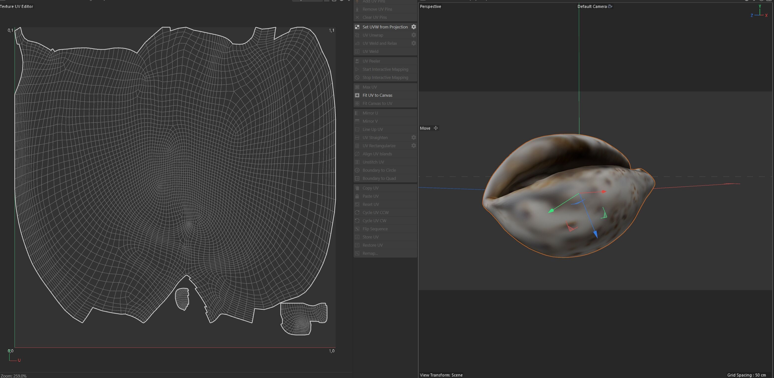 Conch shell v12 Low-poly 3D model_5
