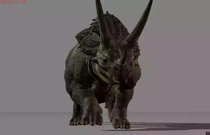 Tricera Dinosaurs Animal