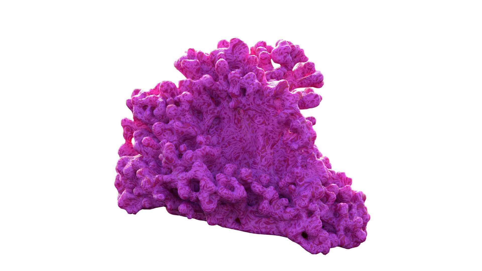 Coral reef v2  Low-poly 3D model_2