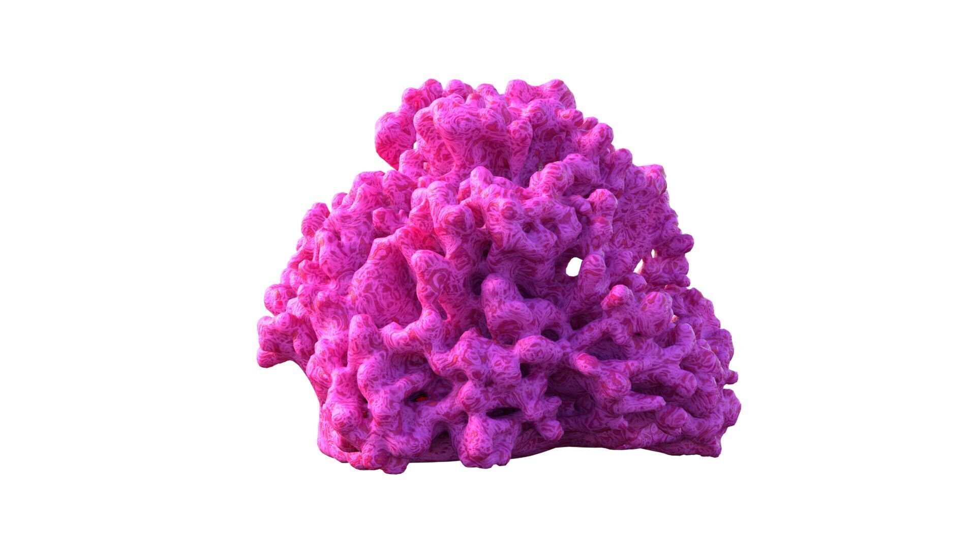 Coral reef v2  Low-poly 3D model_1