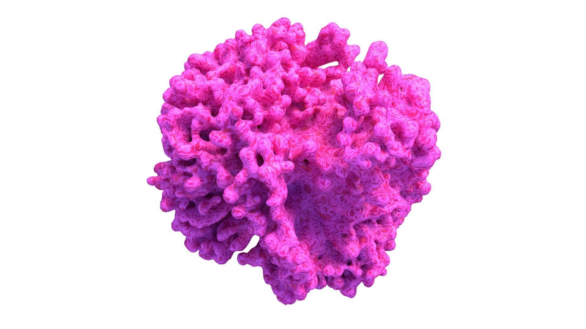 Coral reef v2  Low-poly 3D model_5