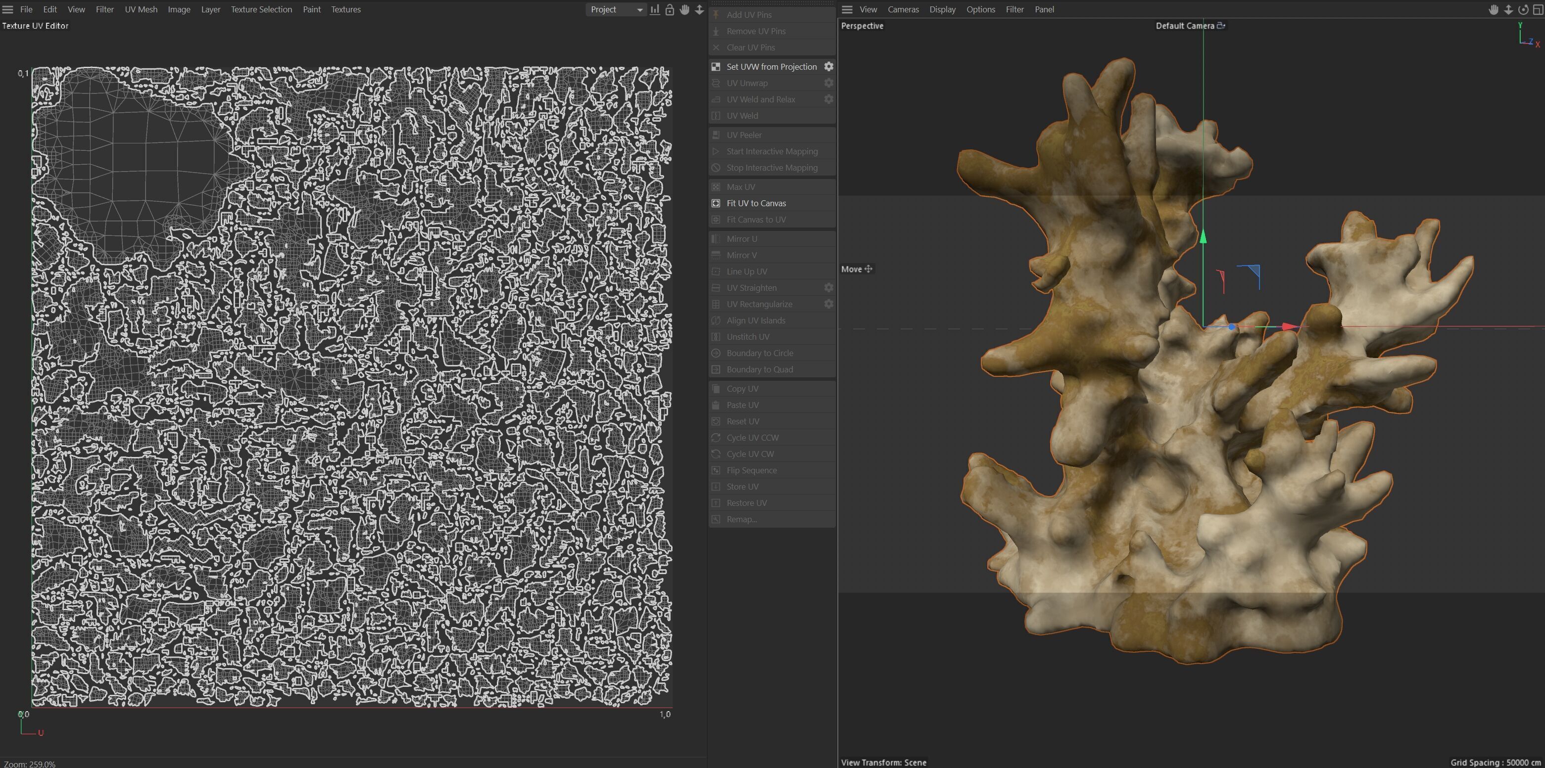 Coral reef v3 Low-poly 3D model_6