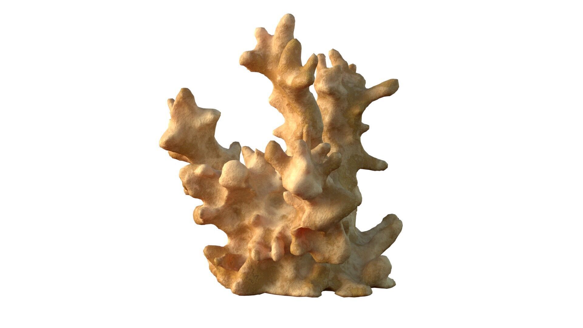 Coral reef v3 Low-poly 3D model_1