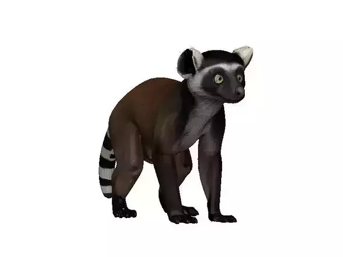 Lemur
