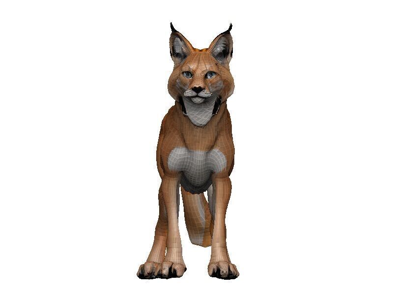 Lynx-Lynx Low-poly 3D model_1