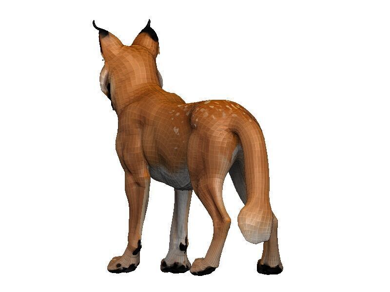 Lynx-Lynx Low-poly 3D model_4