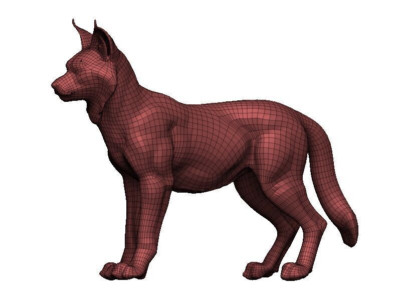 Lynx-Lynx Low-poly 3D model_9