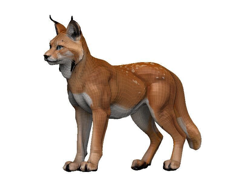 Lynx-Lynx Low-poly 3D model_2