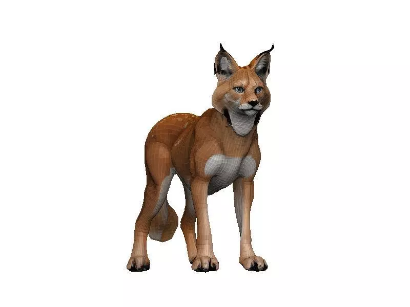 Lynx-Lynx Low-poly 3D model_0