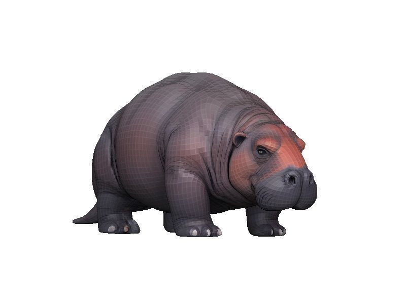 Manatee Low-poly 3D model_7